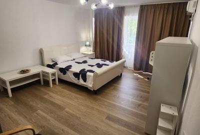Studio 43mp | Muncii | Calea Calarasilor | Balcon | Decomandat - 3