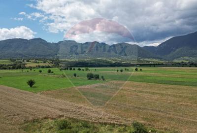 Teren agricol intravilan de 1180 mp, în Sud - 13