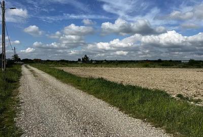 Teren intravilan parcelabil - Pausa comuna Nojorid - IMOBIHOR - 1