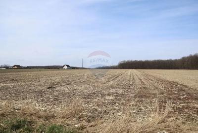 Teren în Central - 1