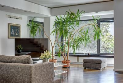 Apartament cu 5 camere semidecomandat, mobilat în Floreasca - 5