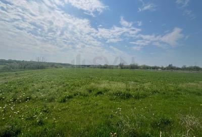 Teren Construcții intravilan de 15000 mp, în Snagov - 1