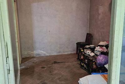 Titan-aleea Barajul Cucuteni - 7