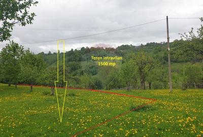 Teren intravilan, 1500 mp, Bran - 16