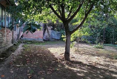 Casă cu 2 camere cu Teren 150 Mp în Tei - 8
