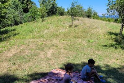 Teren livadă cu panoramă superbă Dealul Malului pentru casă sau cabană - 29