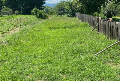 Casă cu 2 camere în Gilău - 4