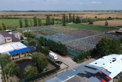 Teren agricol intravilan de 86000 mp, în Central - 3