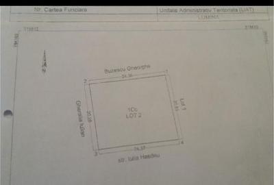 Spațiu comercial, în Lumina