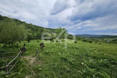 Teren în Mărgineni - 6