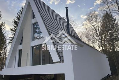 Casa / Cabana A-Frame moderna, 4 camere – Investitie - 2