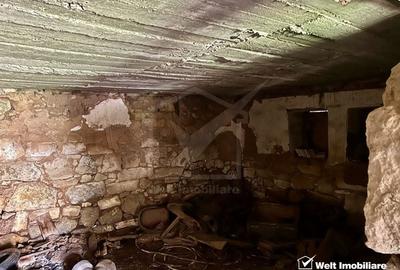 Exclusivitate ! Pozitie excelenta, casa Savadisla - 10