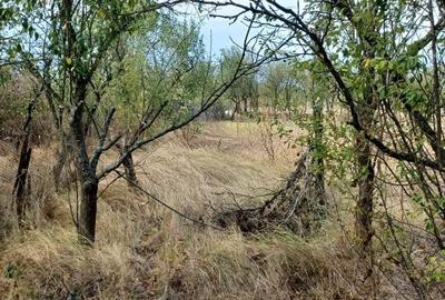 Casă cu 2 camere cu Teren 3100 Mp în Diculești - 6