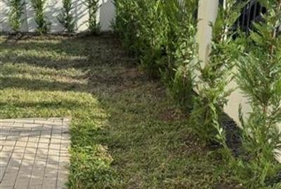 COMISION 0% Duplex despartit prin garaj liziera padurii Dumbravita - 24