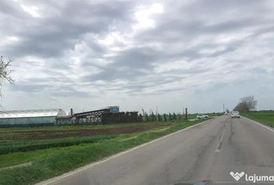 Teren în Agigea - 6