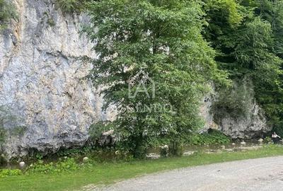 Teren de 4500 mp, în Dâmbovicioara - 2