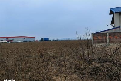 Teren de 8918 mp, în Sărata - 7