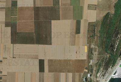 Teren agricol extravilan de 5000 mp, în Corbu - 6