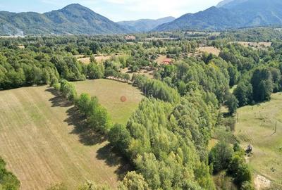 Teren intravilan, priveliste deosebita - 23