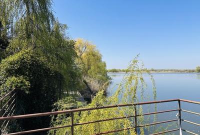 Casă individuală cu 10 camere cu Piscina în Roșu - 18