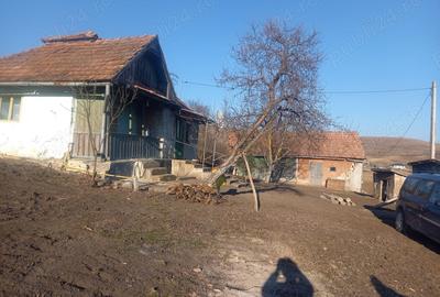 Casă cu 2 camere în Ceanu Mare - 4