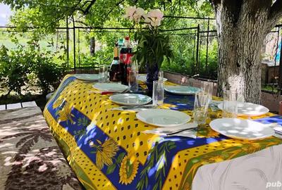 Casă cu 3 camere cu Teren 1000 Mp în Utvin - 2