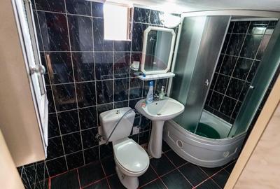 Casa de vanzare Certejul de sus,jud. Hunedoara - 15