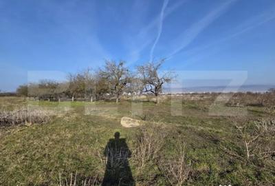 Teren în Feleacu - 3