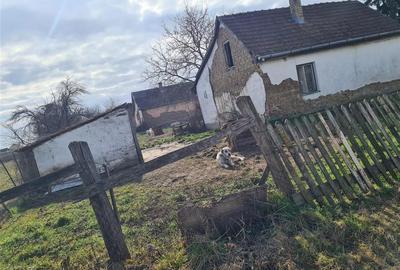 RECO Casa in Ungaria cu teren generos - 1