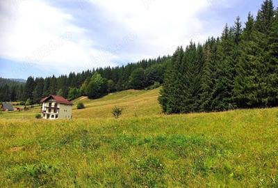 Teren de 2121 mp, în Valea Doftanei - 2