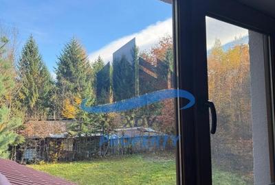 Pensiune/ Vila Valea Avrigului - 23