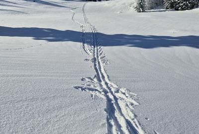 Casă cu 4 camere în Ocoale - 2