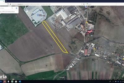Teren de 11500 mp, în Criș - 1