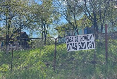 Casă cu 3 camere cu Teren 500 Mp în Ilva Mică - 5