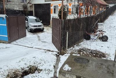 Casă cu 3 camere în Coman - 3