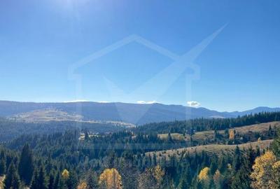 Teren de 17070 mp, în Făget