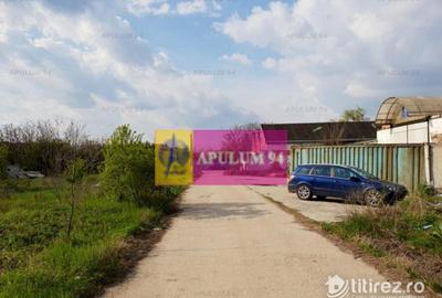 Hala 3600mp zona de Sud a capitalei - 10