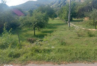 Teren de 1784 mp, în Avram Iancu - 4