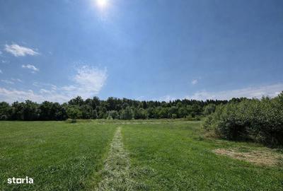 Teren de 3600 mp, în Horodnic - 5