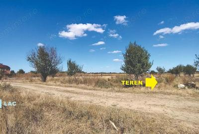 Vanzare teren 4400 mp Snagov - Gruiu, cu deschidere la lacul Snagov - 5