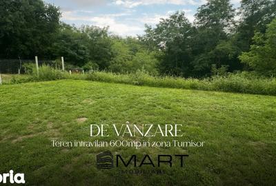 Teren de 600 mp, în Turnișor