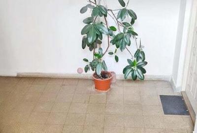 Central Suprafata Generoasa - 6