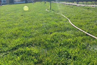 Casă cu 8 camere cu Teren 1000 Mp în Grădiștea - 9