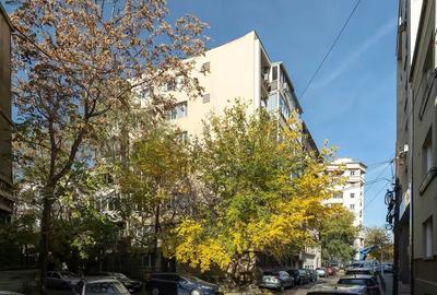 Garsonieră, mobilată în Națiunile Unite - 9