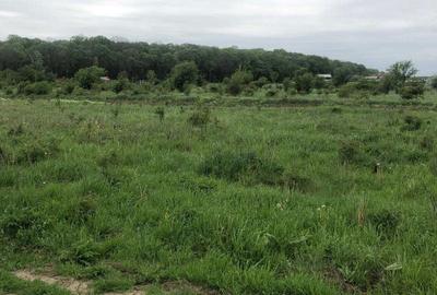 Spațiu comercial, în Țegheș