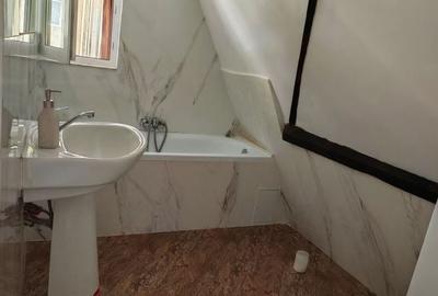 Vila 10 camere,pretabil compartimentare in 2 unitati separate,ASTRA. - 13