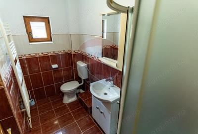 Vila /Pensiune 6 camere in Cristur, jud Hunedoara - 9