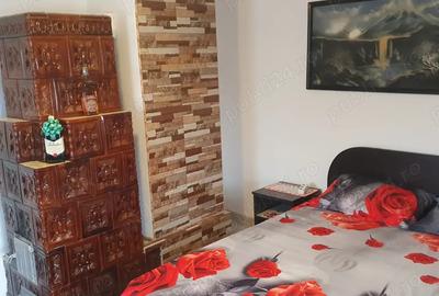 Vand casa la tara - 11