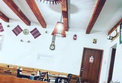 Cabana-restaurant Semenic - 2
