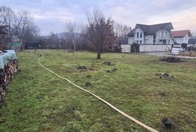 Teren intravilan | 500 mp autorizatie de constructi-de vanzare –Tocile - 5